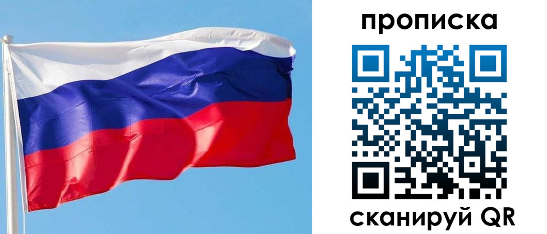 прописка поиск в Сафоново
